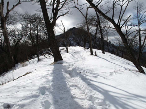 20170118hike (377)